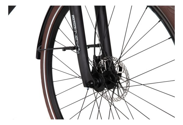 BICYKLET VICTOIRE SHIMANO ALIVIO 9V 400 WH 700 MM – Image 10
