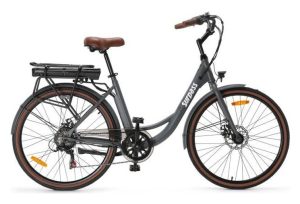Vélo Electrique SURPASS 26'' Gris