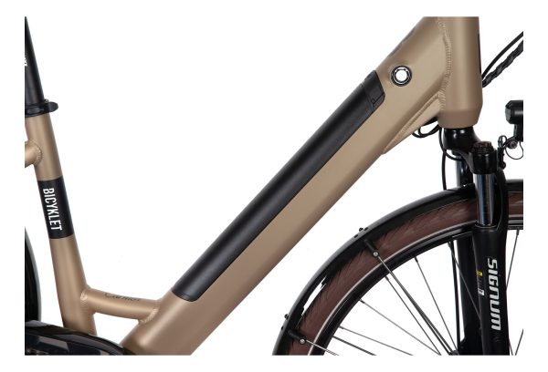 Bicyklet Carmen Shimano Tourney/Altus 7V 504 Wh 700 mm – Image 6
