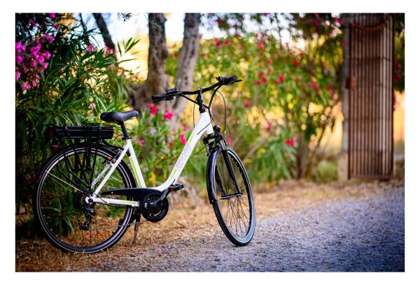 E-Bike Adore Versailles 28'' 36 V/10 4 Ah Li-Ion-Akku 7 vitesses – Image 5