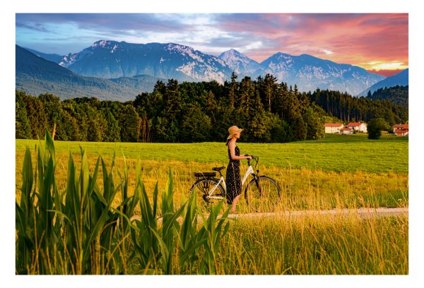 E-Bike Adore Versailles 28'' 36 V/10 4 Ah Li-Ion-Akku 7 vitesses – Image 6