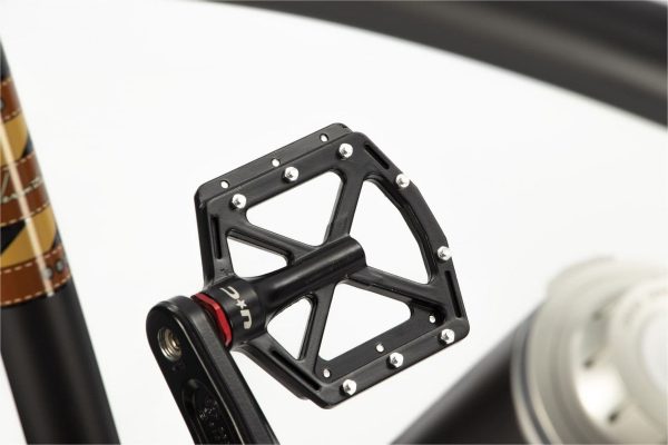 Cruiser E-Hermitage Design 330Wh MicroShift 10V Noir Mat – Image 7